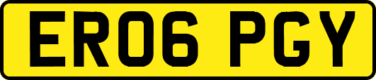 ER06PGY