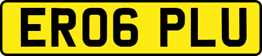 ER06PLU