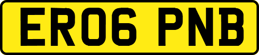 ER06PNB