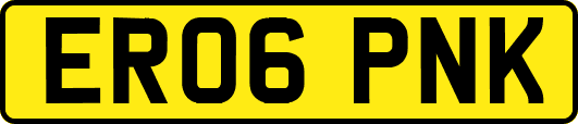 ER06PNK