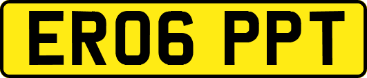 ER06PPT