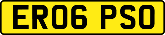 ER06PSO