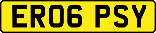 ER06PSY