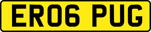 ER06PUG