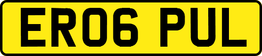 ER06PUL