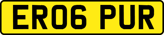 ER06PUR
