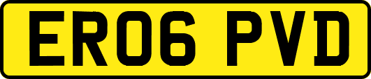 ER06PVD
