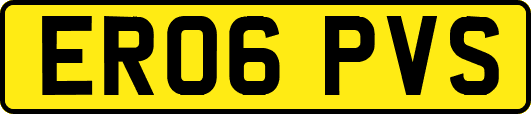 ER06PVS