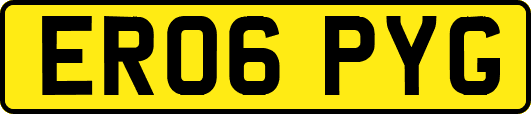ER06PYG