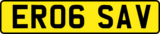 ER06SAV