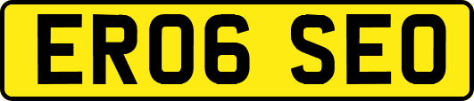 ER06SEO