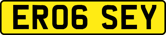 ER06SEY
