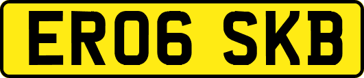 ER06SKB