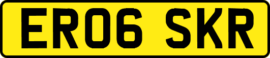 ER06SKR