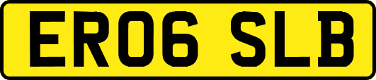 ER06SLB