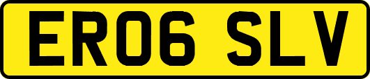 ER06SLV