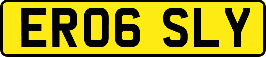 ER06SLY