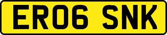 ER06SNK