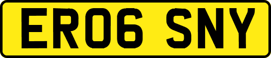 ER06SNY