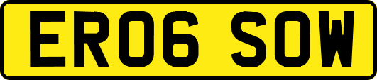 ER06SOW