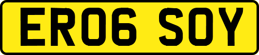 ER06SOY