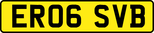 ER06SVB
