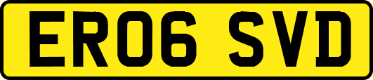 ER06SVD