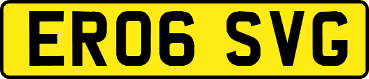 ER06SVG