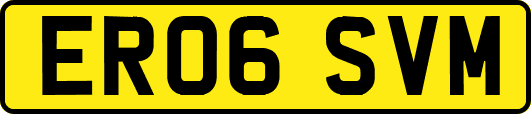 ER06SVM