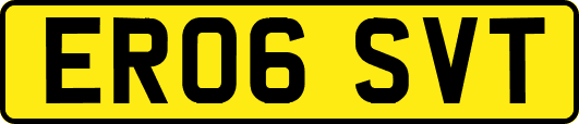 ER06SVT