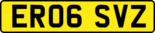 ER06SVZ