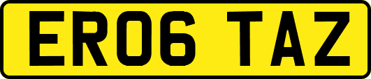ER06TAZ