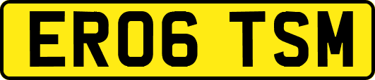 ER06TSM