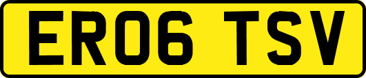 ER06TSV