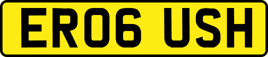 ER06USH