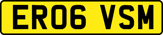 ER06VSM