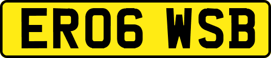 ER06WSB
