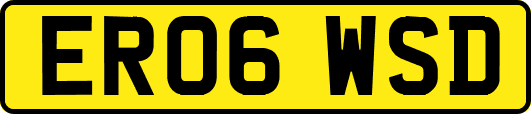 ER06WSD