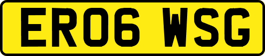 ER06WSG