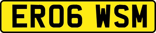 ER06WSM