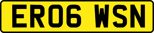 ER06WSN