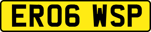ER06WSP