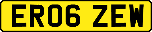 ER06ZEW
