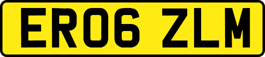 ER06ZLM