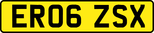 ER06ZSX