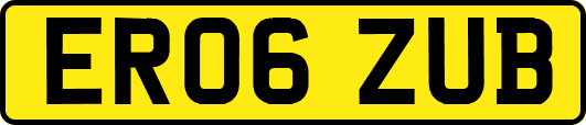 ER06ZUB