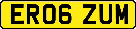 ER06ZUM