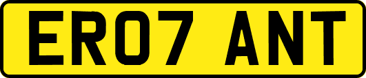 ER07ANT