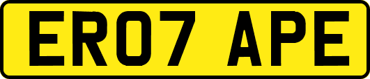 ER07APE