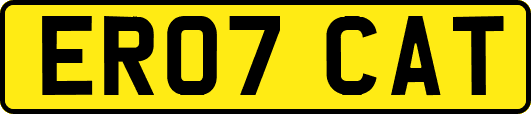ER07CAT